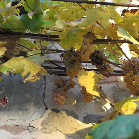 Borgo Santuletta Séjour à la ferme *