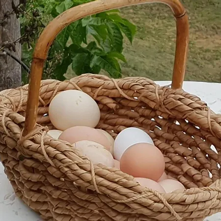 Séjour à la ferme Borgo Santuletta Santa Giuletta