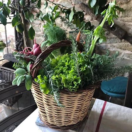 Фермерский дом Borgo Santuletta *